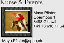 Kurse & Events Maya Pfister Obermoos 1 8498 Gibswil +41 78 616 11 64 Maya.Pfister@spha,ch